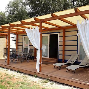 Two-Bedroom Mobile Home Deluxe